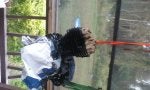 2017-10-31 22_1509504318110.43.03.jpg